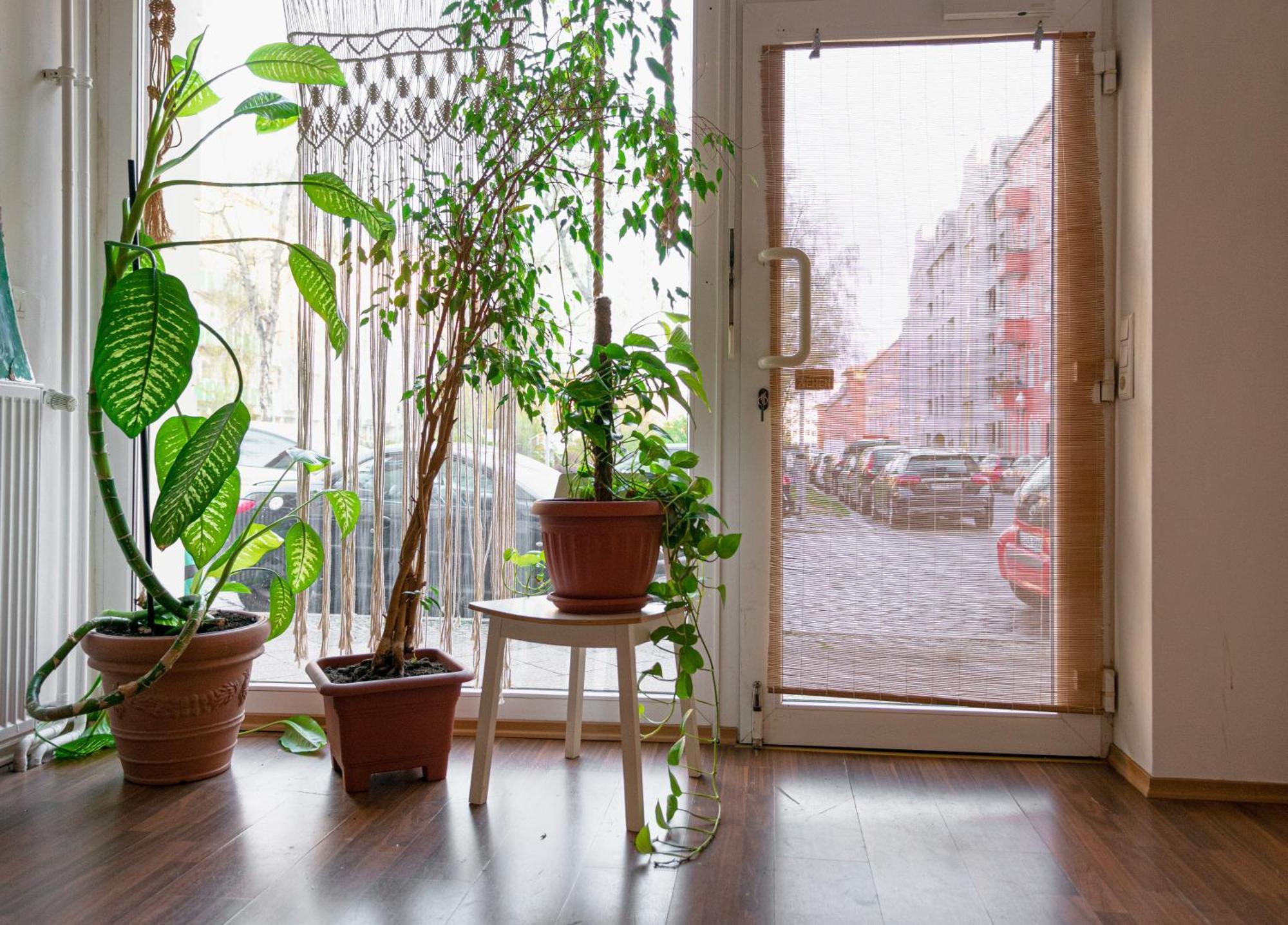 ברלין Boutique Altbau Apartment מראה חיצוני תמונה